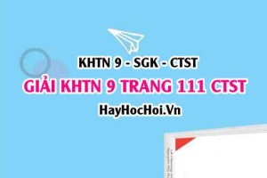 Giải KHTN 9 trang 111 Chân trời sáng tạo SGK